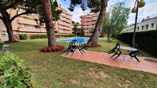 Pis Carrer garbí. Junto la playa y port balís Pis Carrer garbí. Junto la playa y port balís