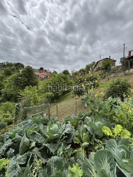 Foto f533044a-7238-42c6-8436-3070d409d54a. Casa amb calefacció aparcament a La Felguera Langreo Foto f533044a-7238-42c6-8436-3070d409d54a. Casa amb calefacció aparcament a La Felguera Langreo