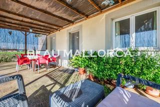 Masia a Felanitx Poble. Finca en felanitx Masia a Felanitx Poble. Finca en felanitx