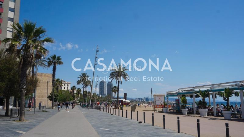 Foto c097abe4-fe27-4151-a8ee-09cd4f4b42ff. Attico in Barceloneta Barcelona Foto c097abe4-fe27-4151-a8ee-09cd4f4b42ff. Attico in Barceloneta Barcelona