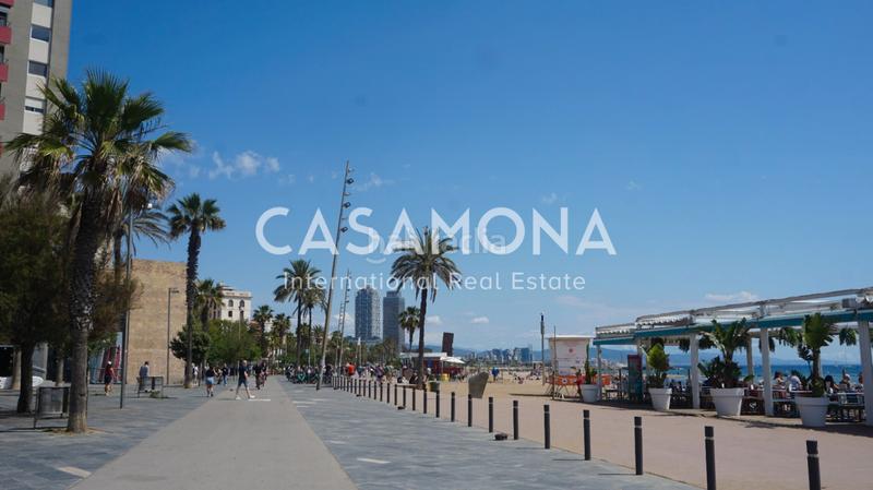 Foto e30c135d-2846-4d15-94a7-33b9a13c0668. Attico in Barceloneta Barcelona Foto e30c135d-2846-4d15-94a7-33b9a13c0668. Attico in Barceloneta Barcelona