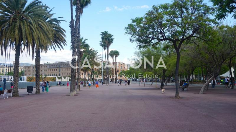 Foto 9ba39658-75da-4b01-98eb-2a52957ec2fa. Attique dans Barceloneta Barcelona Foto 9ba39658-75da-4b01-98eb-2a52957ec2fa. Attique dans Barceloneta Barcelona