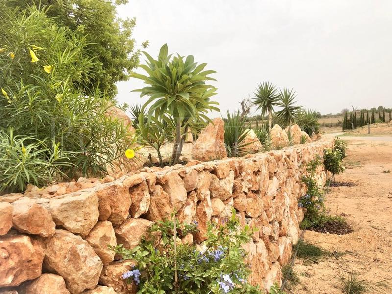 Foto 3dbea882-c098-4717-8fcf-d37b4032aaf8. House with heating parking pool in Llucmajor interior Llucmajor Foto 3dbea882-c098-4717-8fcf-d37b4032aaf8. House with heating parking pool in Llucmajor interior Llucmajor