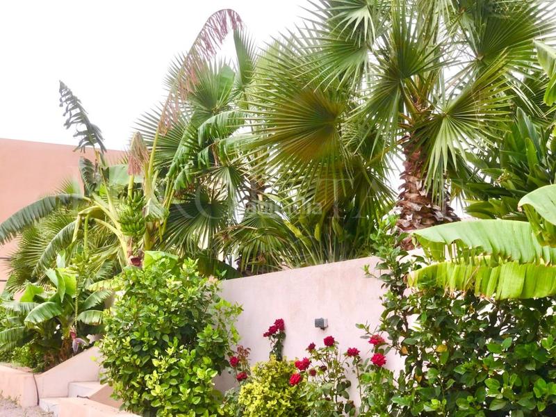 Foto c7db980c-a19f-4b29-81c3-05e57d450238. House with heating parking pool in Llucmajor interior Llucmajor Foto c7db980c-a19f-4b29-81c3-05e57d450238. House with heating parking pool in Llucmajor interior Llucmajor