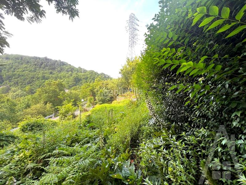 Foto c3b8095d-b4c5-4211-93a9-59aa98fa42dd. Piso increíble vivienda con terraza, txoko, trastero, parking y huerta!!!! en Etxebarri, Anteiglesia de San Esteban Foto c3b8095d-b4c5-4211-93a9-59aa98fa42dd. Piso increíble vivienda con terraza, txoko, trastero, parking y huerta!!!! en Etxebarri, Anteiglesia de San Esteban