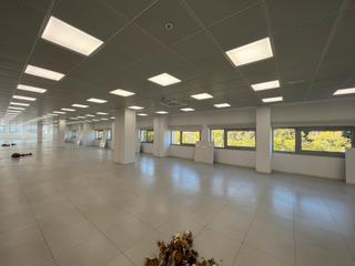 Lloguer Oficina Passeig de la zona franca Lloguer Oficina Passeig de la zona franca