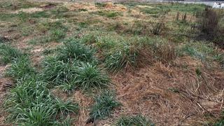 Terreny residencial a Campllong. Se venden terreno con la superficie de 293 m2, situado en zona r Terreny residencial a Campllong. Se venden terreno con la superficie de 293 m2, situado en zona r