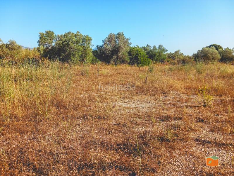 Foto 40f291b1-5d35-4788-8e88-dc500d5cc723. Finca rústica a Ulldecona Foto 40f291b1-5d35-4788-8e88-dc500d5cc723. Finca rústica a Ulldecona