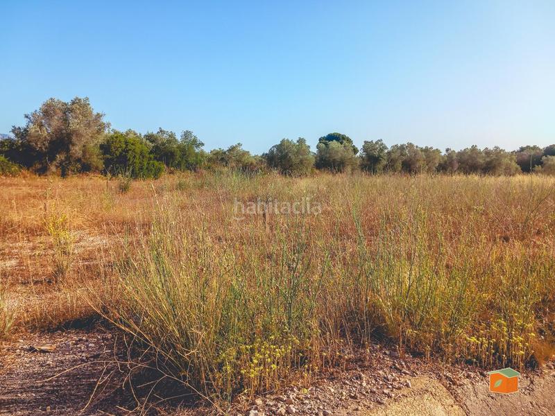 Foto a93869c3-80b5-450c-ae21-7d6040e8a6cd. Finca rústica a Ulldecona Foto a93869c3-80b5-450c-ae21-7d6040e8a6cd. Finca rústica a Ulldecona