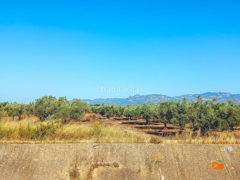 Foto ae4e9534-7b3e-4b43-a115-becc9d37c8d1. Finca rústica a Ulldecona Foto ae4e9534-7b3e-4b43-a115-becc9d37c8d1. Finca rústica a Ulldecona