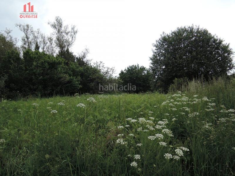 Foto b1b455b5-9de9-4117-a9a6-818dfb69d4fd. Terreno residencial finca urbanizable próxima a bóveda en Amoeiro Foto b1b455b5-9de9-4117-a9a6-818dfb69d4fd. Terreno residencial finca urbanizable próxima a bóveda en Amoeiro