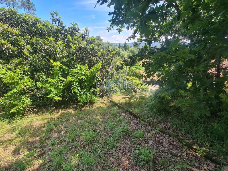 Foto 1acc9a08-e383-470d-bdc0-40045e5d37e2. Terreny residencial a Barbadás Foto 1acc9a08-e383-470d-bdc0-40045e5d37e2. Terreny residencial a Barbadás