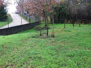 Residential Plot  Pereiro de aguiar Residential Plot  Pereiro de aguiar