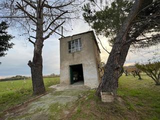 Xalet a Pastriz. Casa de campo con terreno y frutales-pozo y acequia Xalet a Pastriz. Casa de campo con terreno y frutales-pozo y acequia