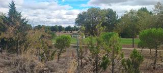 Propriété  Paraje campillo. Se vende finca rústica próxima al campo de golf Propriété  Paraje campillo. Se vende finca rústica próxima al campo de golf