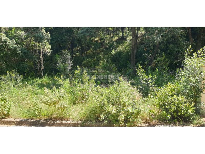 Foto 3b66c9cb-b85d-4c4c-9ae9-0090b0ed8a3e. Wohngrundstück in Pals Foto 3b66c9cb-b85d-4c4c-9ae9-0090b0ed8a3e. Wohngrundstück in Pals