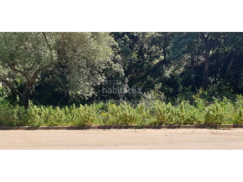 Foto 5a9c491f-ceb3-47fd-ad88-10a7eae03d1a. Wohngrundstück in Pals Foto 5a9c491f-ceb3-47fd-ad88-10a7eae03d1a. Wohngrundstück in Pals