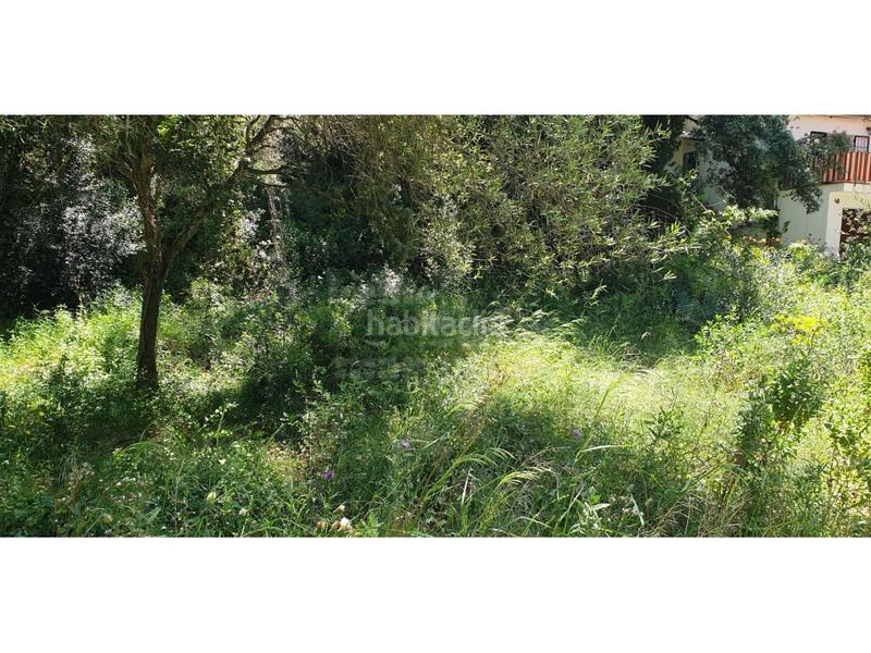 Foto b2cbccf6-b2c3-4157-bba2-55c93c4b8eb8. Wohngrundstück in Pals Foto b2cbccf6-b2c3-4157-bba2-55c93c4b8eb8. Wohngrundstück in Pals