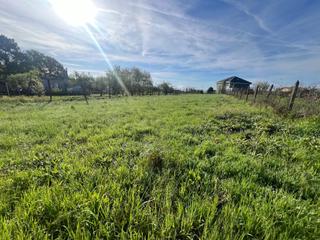 Terreno residencial en Coles. Finca de 15947,3 m2  urbanizables 929,3 y resto rustico Terreno residencial en Coles. Finca de 15947,3 m2  urbanizables 929,3 y resto rustico