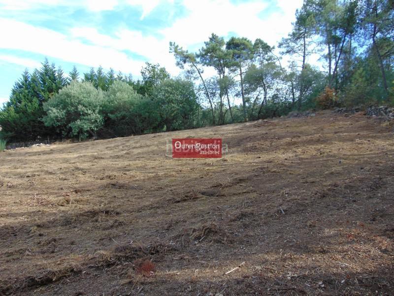 Foto f28e18ec-6868-4fea-bbe8-28c1a1ace59c. Terreno residencial terreno urbanizable en Amoeiro Foto f28e18ec-6868-4fea-bbe8-28c1a1ace59c. Terreno residencial terreno urbanizable en Amoeiro