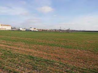 Fondo rustico in Daimiel. Suelo rústico de 8452 m2 en la espinosa situado en la localidad Fondo rustico in Daimiel. Suelo rústico de 8452 m2 en la espinosa situado en la localidad