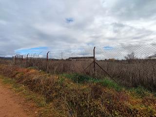 Finca rústica a Villarrubia de los Ojos. ¡oportunidad única de inversión! suelo no urbanizable en senda d Finca rústica a Villarrubia de los Ojos. ¡oportunidad única de inversión! suelo no urbanizable en senda d