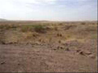 Finca rústica  Carretera de villagarcía de la torre al cortijo del conde. Terreno a la  venta en charnecales, villagarcía de la torre Finca rústica  Carretera de villagarcía de la torre al cortijo del conde. Terreno a la  venta en charnecales, villagarcía de la torre