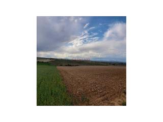 Masia N/a. Venta de finca en la provincia de cáceres, en el municipio de ho Masia N/a. Venta de finca en la provincia de cáceres, en el municipio de ho