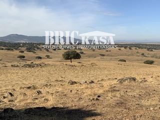 Terrain résidentiel à Arroyo de la Luz. Parcela en venta en cáceres, asfaltado y agua. finca cerca de lo Terrain résidentiel à Arroyo de la Luz. Parcela en venta en cáceres, asfaltado y agua. finca cerca de lo