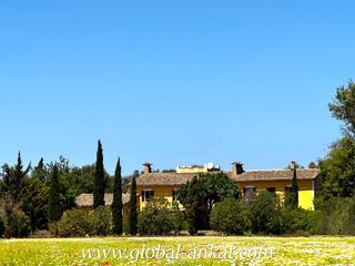Masia a Felanitx Poble. Encantadora finca mallorquina de ensueño (ref. f2076 Masia a Felanitx Poble. Encantadora finca mallorquina de ensueño (ref. f2076