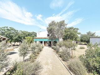 Bauernhof  N/a. Casa de campo próxima a valverde de mérida Bauernhof  N/a. Casa de campo próxima a valverde de mérida