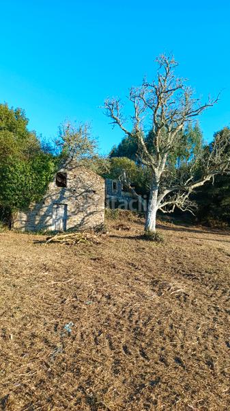 Foto f4290222-0a88-48e7-8ee9-1e5e5dfa60c8. Terreny residencial a n/a a Vilalba Foto f4290222-0a88-48e7-8ee9-1e5e5dfa60c8. Terreny residencial a n/a a Vilalba