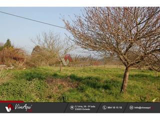 Finca rústica a Villaviciosa - Amandi. Finca soleada en careñes, villaviciosa, finca edificale con poma Finca rústica a Villaviciosa - Amandi. Finca soleada en careñes, villaviciosa, finca edificale con poma