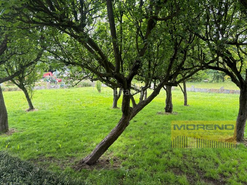 Foto d94b43a4-85c1-47eb-acea-55845d37e9ee. Bauernhof in Sarria Foto d94b43a4-85c1-47eb-acea-55845d37e9ee. Bauernhof in Sarria