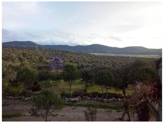 Masia a Millanes. Finca ganadera de unas 140 hectáreas en la zona de navalmoral de Masia a Millanes. Finca ganadera de unas 140 hectáreas en la zona de navalmoral de