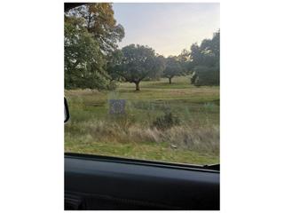 Mas à Portaje. Finca ganadera de unas 400 hectáreas en la zona de cañaveral Mas à Portaje. Finca ganadera de unas 400 hectáreas en la zona de cañaveral