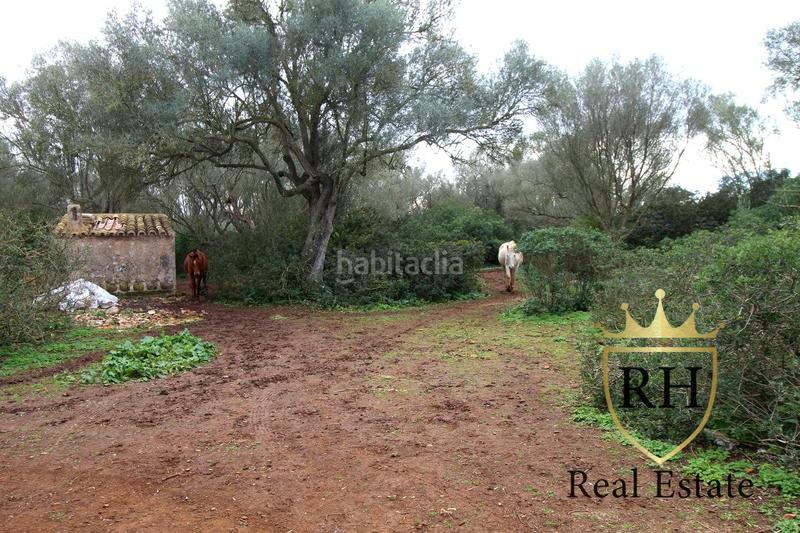 Foto 059d4ae1-033c-4dba-bde0-a974457f8ee3. Residential plot in Felanitx poble Felanitx Foto 059d4ae1-033c-4dba-bde0-a974457f8ee3. Residential plot in Felanitx poble Felanitx