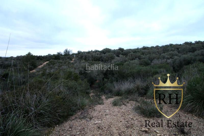 Foto 0e432178-0007-4fa1-9e1a-3d1da4be5c33. Residential plot in Felanitx poble Felanitx Foto 0e432178-0007-4fa1-9e1a-3d1da4be5c33. Residential plot in Felanitx poble Felanitx