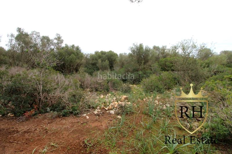 Foto 12f8ebd3-3781-4ca3-9acb-c86298693f33. Residential plot in Felanitx poble Felanitx Foto 12f8ebd3-3781-4ca3-9acb-c86298693f33. Residential plot in Felanitx poble Felanitx