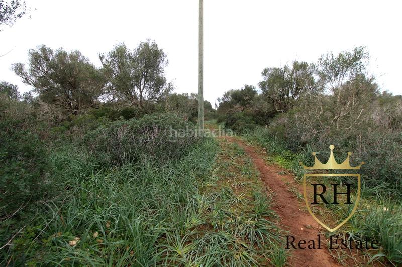 Foto 27399c9e-c116-4d3b-9e19-429af61f24d1. Residential plot in Felanitx poble Felanitx Foto 27399c9e-c116-4d3b-9e19-429af61f24d1. Residential plot in Felanitx poble Felanitx