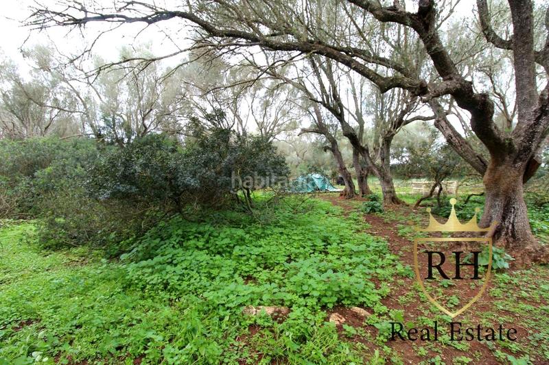 Foto 2d31dfce-f612-45cb-ac17-0f22d48671b7. Residential plot in Felanitx poble Felanitx Foto 2d31dfce-f612-45cb-ac17-0f22d48671b7. Residential plot in Felanitx poble Felanitx