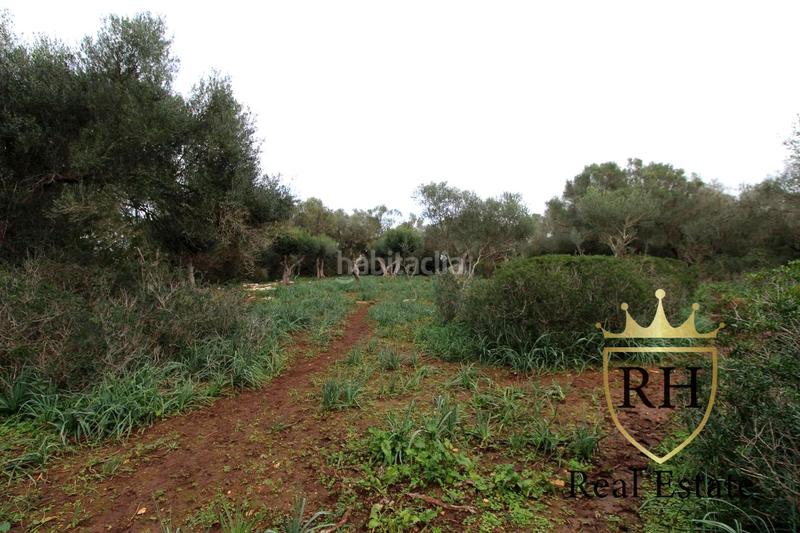 Foto 2f9f01b3-8be9-4932-abaa-e4fd42e7390d. Residential plot in Felanitx poble Felanitx Foto 2f9f01b3-8be9-4932-abaa-e4fd42e7390d. Residential plot in Felanitx poble Felanitx