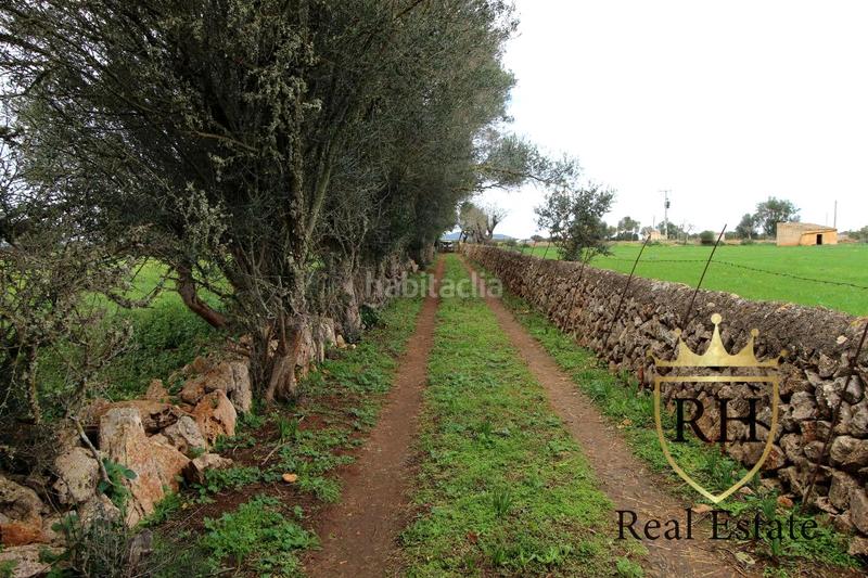 Foto 31ed31d1-39c2-4c39-85bf-283dbedf984b. Residential plot in Felanitx poble Felanitx Foto 31ed31d1-39c2-4c39-85bf-283dbedf984b. Residential plot in Felanitx poble Felanitx