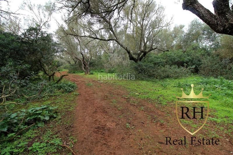 Foto 3400e448-f306-46d2-8905-8891ae9fb49b. Residential plot in Felanitx poble Felanitx Foto 3400e448-f306-46d2-8905-8891ae9fb49b. Residential plot in Felanitx poble Felanitx