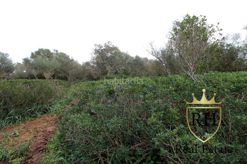 Foto 3acb4792-51a9-479e-97f8-09f16576f2e2. Residential plot in Felanitx poble Felanitx Foto 3acb4792-51a9-479e-97f8-09f16576f2e2. Residential plot in Felanitx poble Felanitx