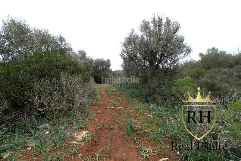 Foto 41fa5345-da44-4225-bf3d-27ed463adf7d. Residential plot in Felanitx poble Felanitx Foto 41fa5345-da44-4225-bf3d-27ed463adf7d. Residential plot in Felanitx poble Felanitx
