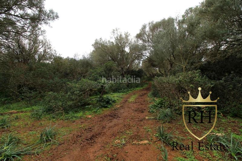 Foto 4b5a9c58-cfbb-4233-86ec-05ca87917f84. Residential plot in Felanitx poble Felanitx Foto 4b5a9c58-cfbb-4233-86ec-05ca87917f84. Residential plot in Felanitx poble Felanitx