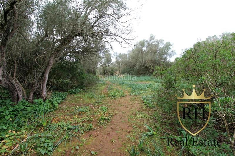 Foto 54613bd0-3ab7-47b3-868a-cb38d3ed872f. Residential plot in Felanitx poble Felanitx Foto 54613bd0-3ab7-47b3-868a-cb38d3ed872f. Residential plot in Felanitx poble Felanitx