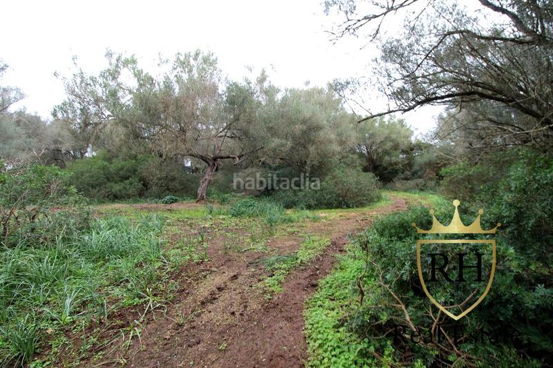 Foto 60a97256-83b4-4a6e-9661-23757f977618. Residential plot in Felanitx poble Felanitx Foto 60a97256-83b4-4a6e-9661-23757f977618. Residential plot in Felanitx poble Felanitx