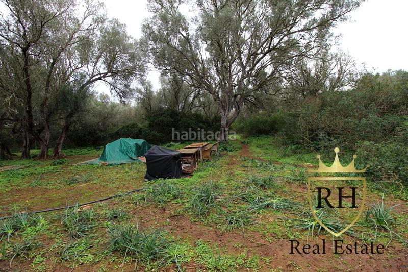 Foto 6e312613-fe40-4588-a743-3e5b30662482. Residential plot in Felanitx poble Felanitx Foto 6e312613-fe40-4588-a743-3e5b30662482. Residential plot in Felanitx poble Felanitx